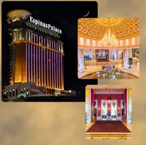مهندس محسن احمدی هتل 5ستاره