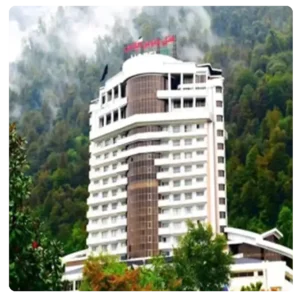 مهندس محسن احمدی هتل لوکس